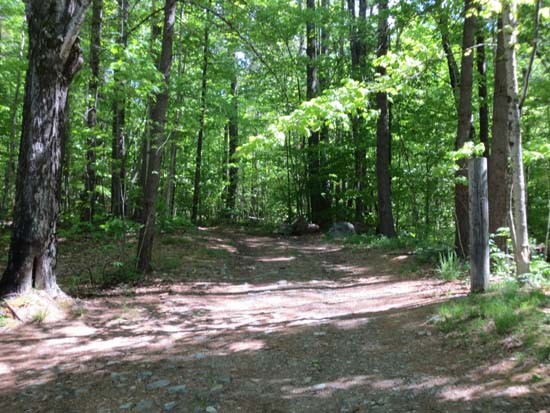 The Mt. Shaw Trail trailhead