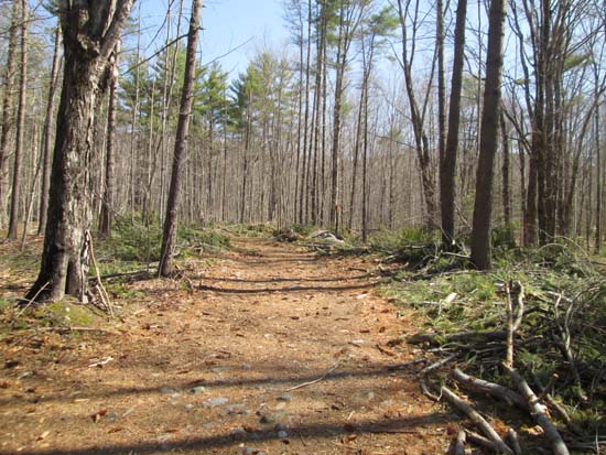 The Mt. Shaw Trail trailhead