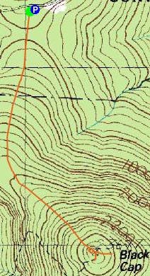 Topographic map of Black Cap