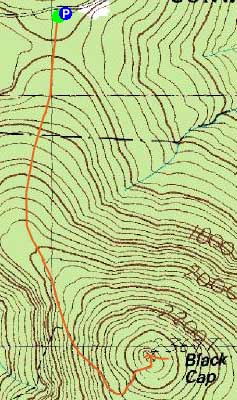 Topographic map of Black Cap
