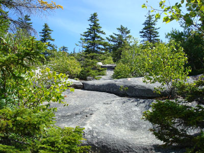 Looking up the Black Cap Trail