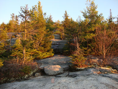 Looking up the Black Cap Trail