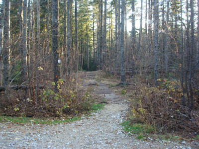Black Cap Trail trailhead