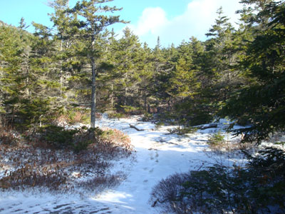 Looking down the Algonquin Trail on the way to Black Mountain