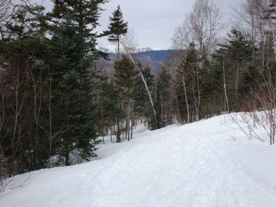 Looking down the Black Mountain Ski Trail
