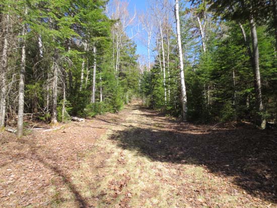 The East Pasture XC Ski Trail