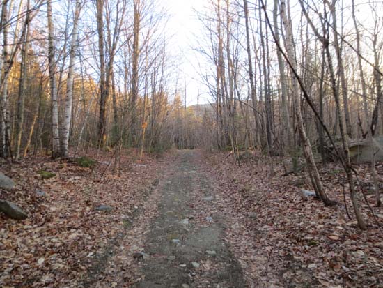 The lower Black Mountain Trail