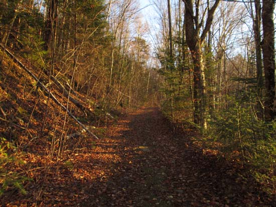 The Black Mountain Trail