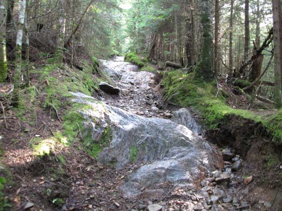 The Black Mountain Trail