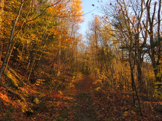 The Black Mountain Trail