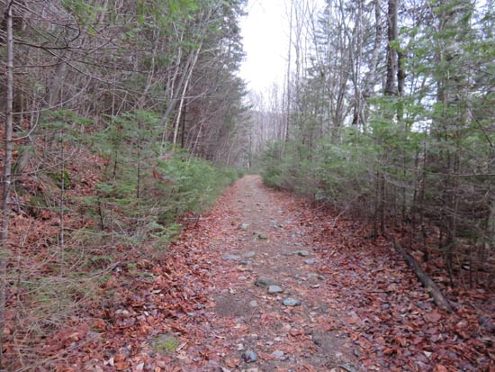 The Black Mountain Trail