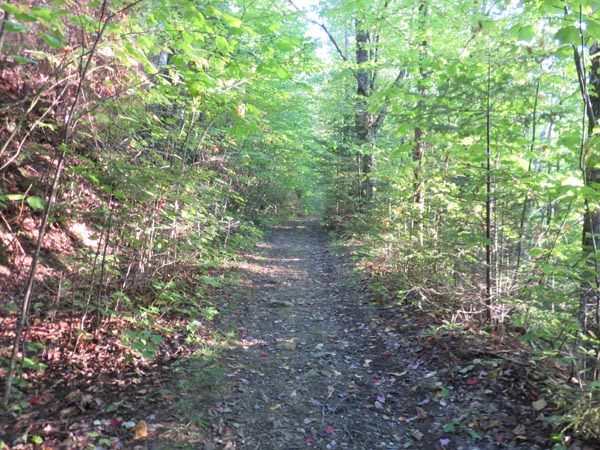 The Black Mountain Trail