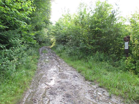 The Black Mountain Trail trailhead