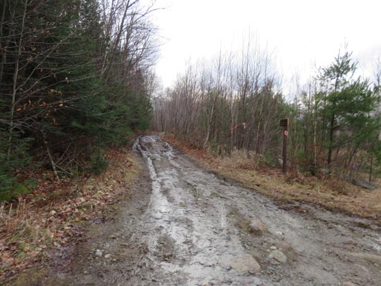The Black Mountain Trail trailhead