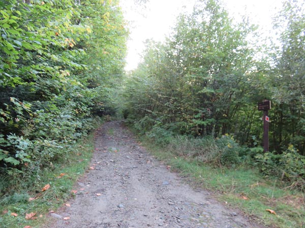 The Black Mountain Trail trailhead