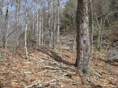 Looking up the Banana Trail on the way to Black Snoot