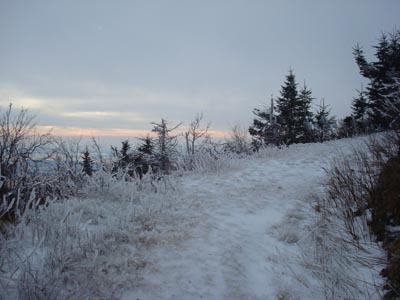Looking up the Black Snout Spur Trail