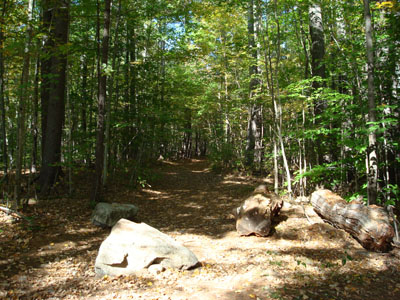 Mt. Shaw Trail trailhead just off Route 171