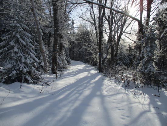 The High Ridge Trail