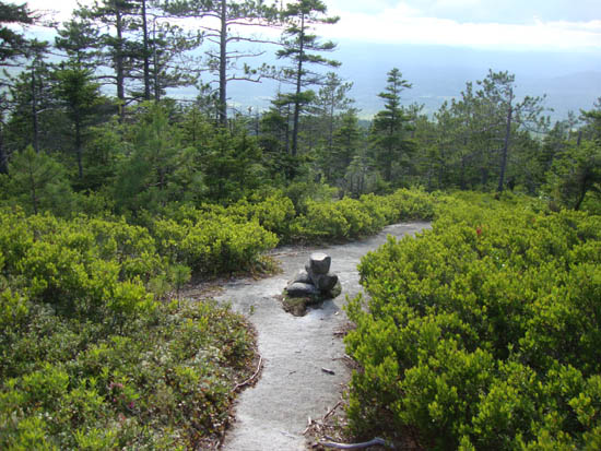 Looking down the Blueberry Mountain Trail