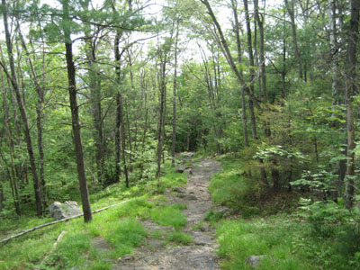 Trail to Blue Job Mountain summit