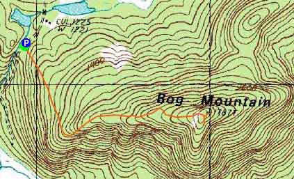 Topographic map of Bog Mountain