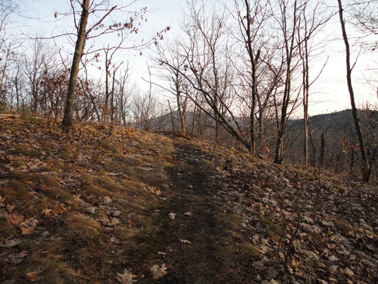 The Bog Mountain Trail