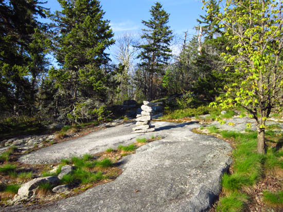 The Bog Mountain Trail