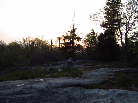 The Bog Mountain Trail