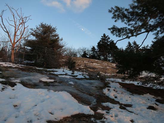 The Bog Mountain Trail