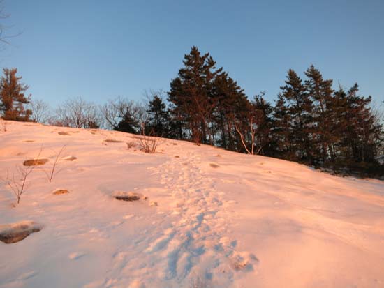 The Bog Mountain Trail