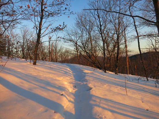 The Bog Mountain Trail