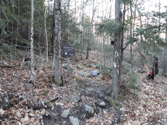 The Bog Mountain Trail trailhead on Stearns Road