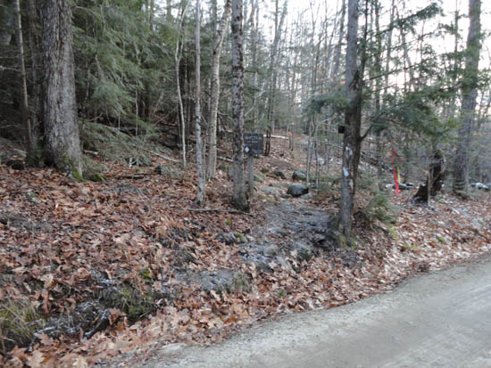 The Bog Mountain Trail trailhead on Stearns Road
