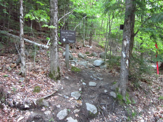 The Bog Mountain Trail trailhead on Stearns Road