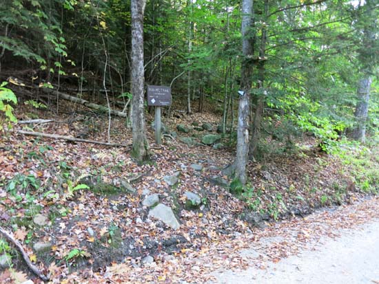 The Bog Mountain Trail trailhead on Stearns Road
