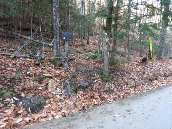 The Bog Mountain Trail trailhead on Stearns Road