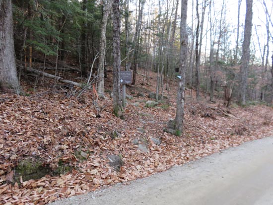 The Bog Mountain Trail trailhead on Stearns Road