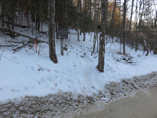 The Bog Mountain Trail trailhead on Stearns Road