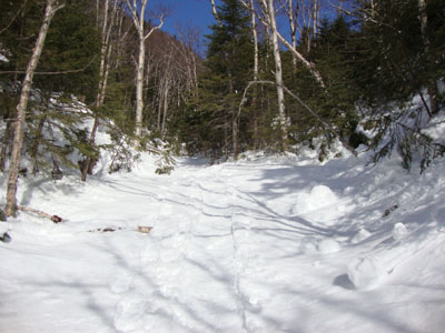 Looking up the Black Brook bed on the way to Bondcliff