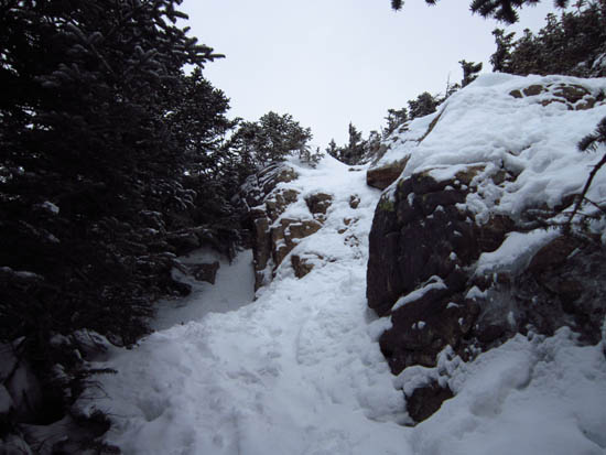 Looking up the Bondcliff Trail