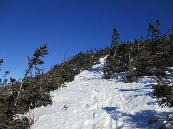 Looking up the Bondcliff Trail