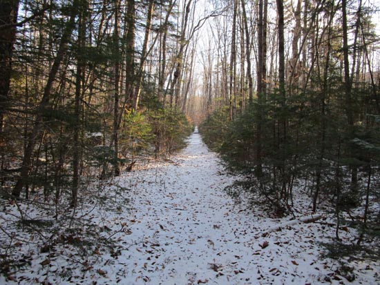 The lower Bondcliff Trail
