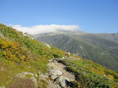 Looking down the Boott Spur Trail