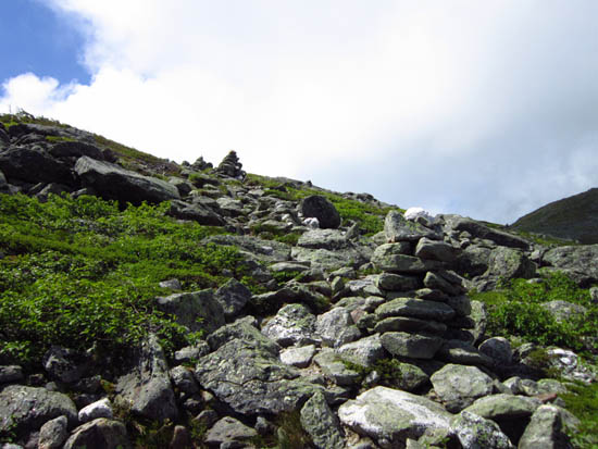 Looking up the Boott Spur Link