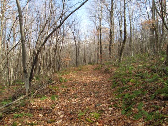 Heading toward Braley Hill on a snowmobile trail