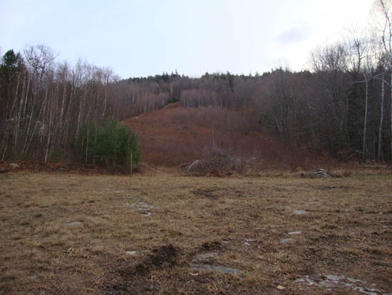 The old ski slopes on Burleigh Mountain