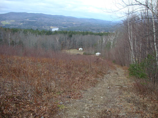 Looking down the hiking trail, prior to entering the woods