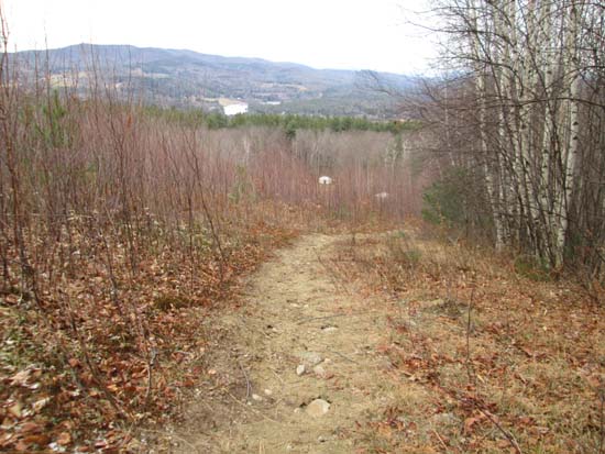 Looking down the hiking trail, prior to entering the woods