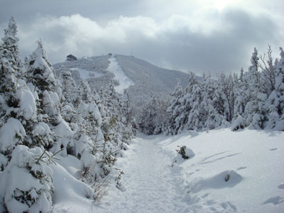 Looking down the Taft Trail on the way to Cannon Mountain